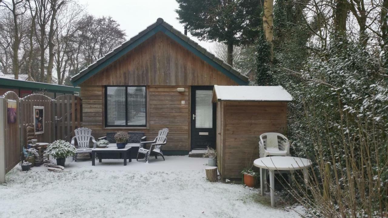 Vakantiehuis Duin Bos En Zee Schoorl Dış mekan fotoğraf