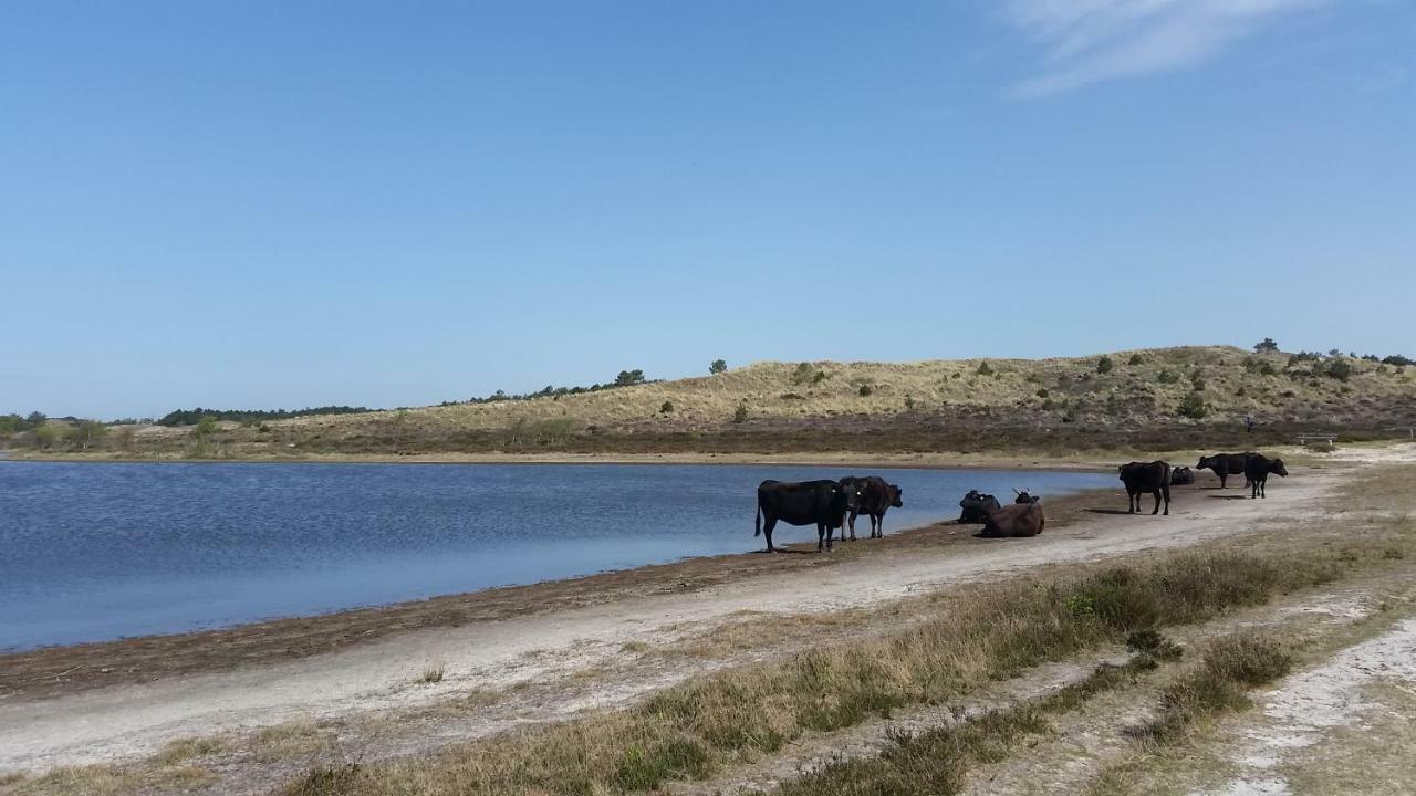 Vakantiehuis Duin Bos En Zee Schoorl Dış mekan fotoğraf